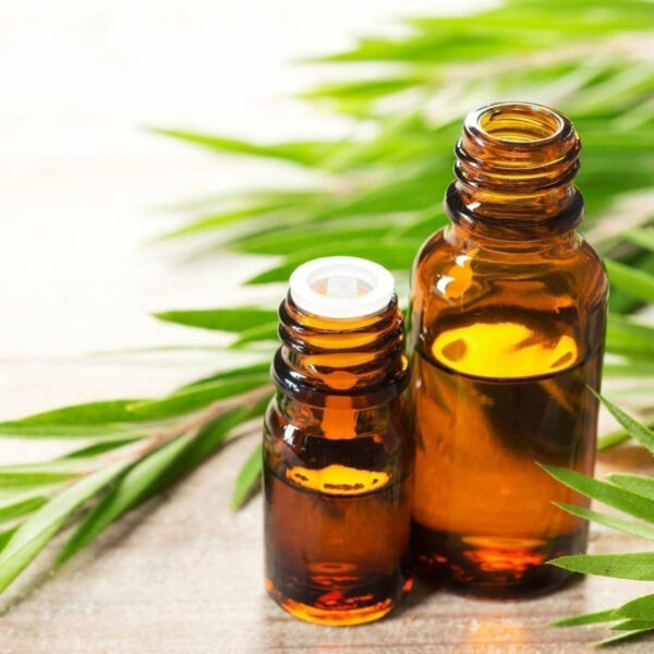 tea tree